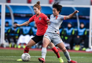 足球世界杯2022